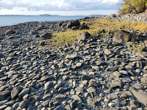 Park «Webb Park», reviews and photos, 58 Summit St, Weymouth, MA 02188, USA