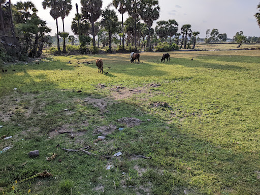 Top 20 mẫu cửa hàng đẹp Huyện Tịnh Biên An Giang 2022