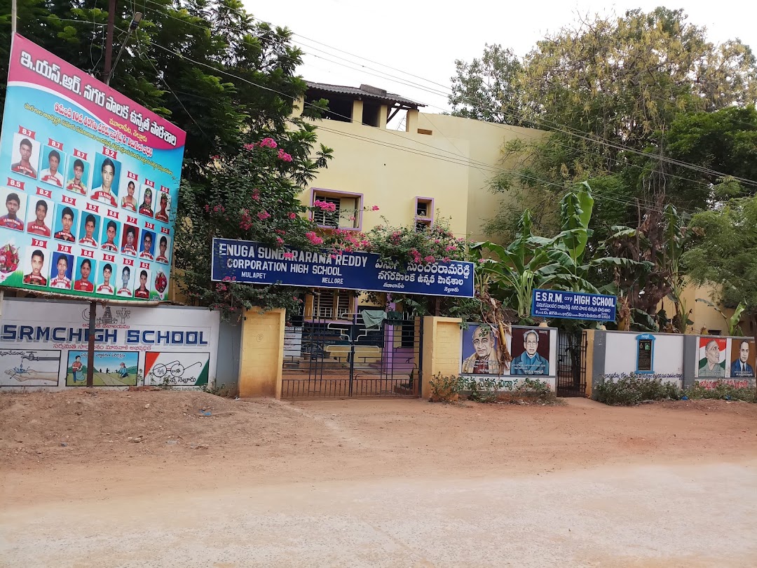 ESRM High School