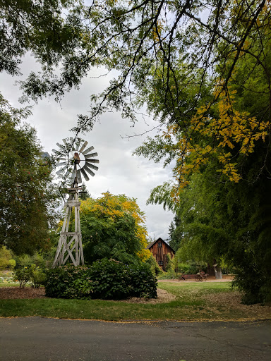 Park «McAuliffe Park», reviews and photos, 10824 NE 116th St, Kirkland, WA 98034, USA