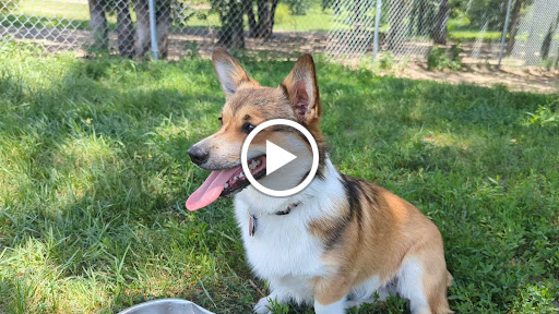 Dog Park «Bunker Hills Dog Park», reviews and photos, 1620 133rd Ave NW, Coon Rapids, MN 55448, USA