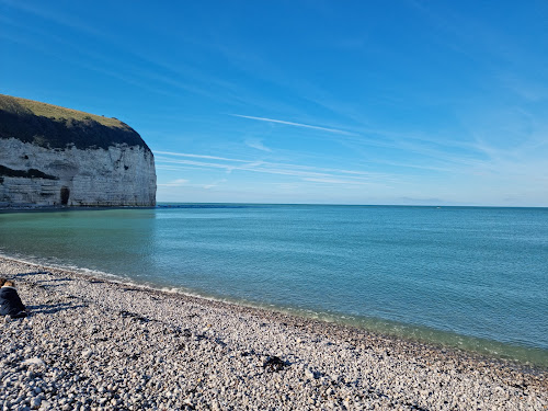 Plage Yport à Yport