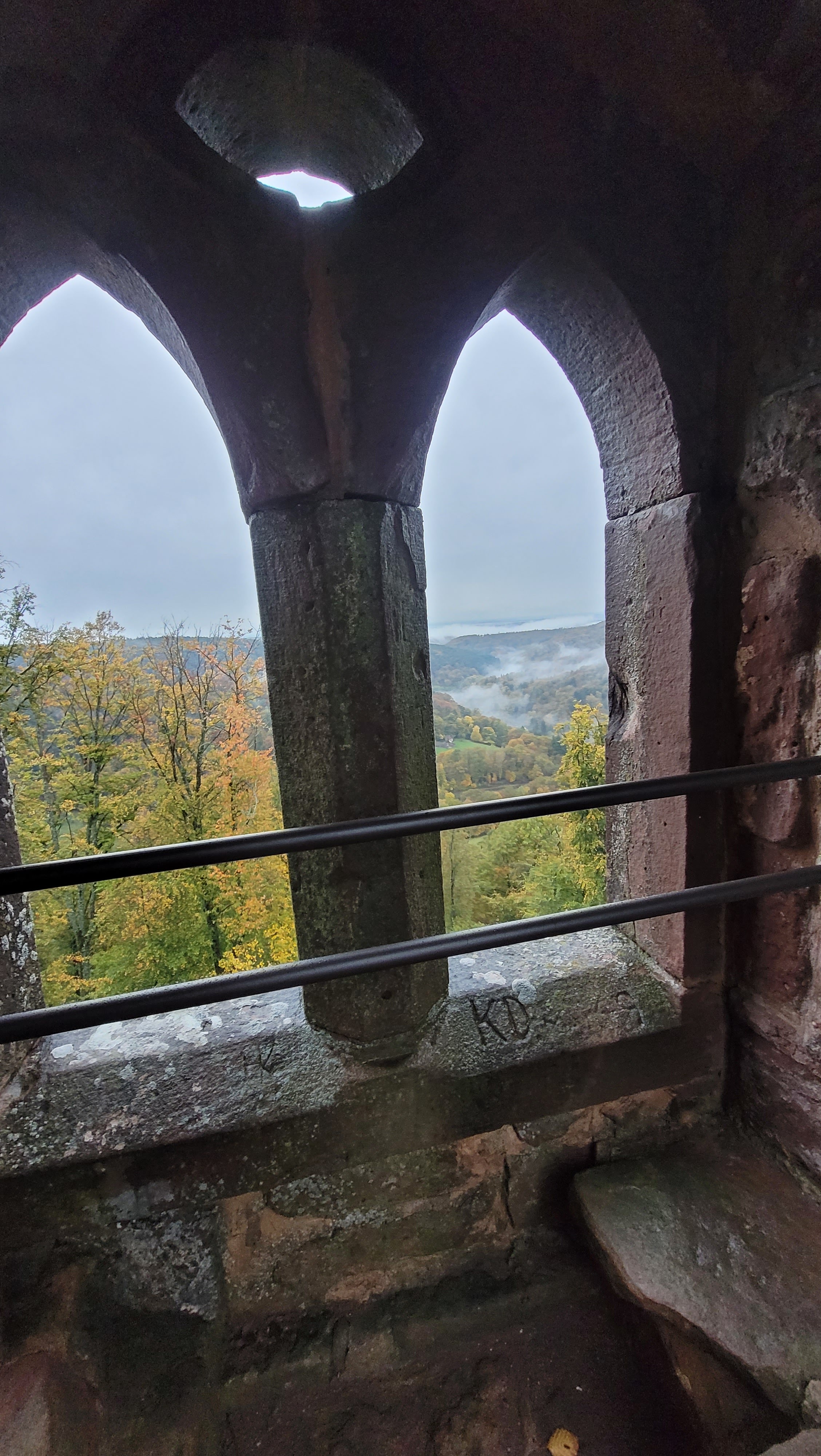 Photo n° 2 de l'avis de Verena.a fait le 31/10/2023 à 09:34