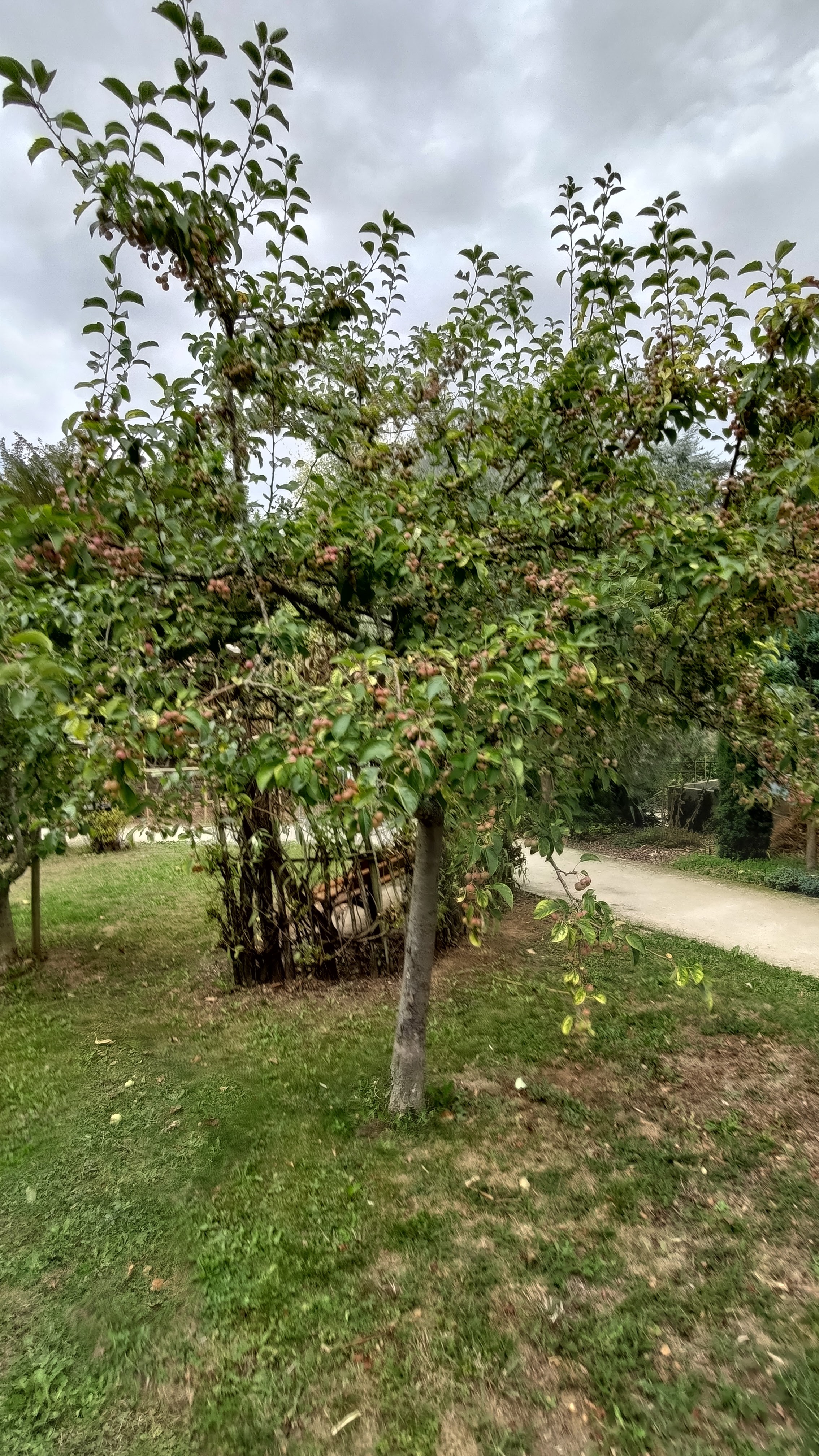 Photo n° 9 de l'avis de jean-philippe.a fait le 15/09/2022 à 07:20