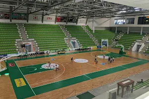 Arena Botevgrad image