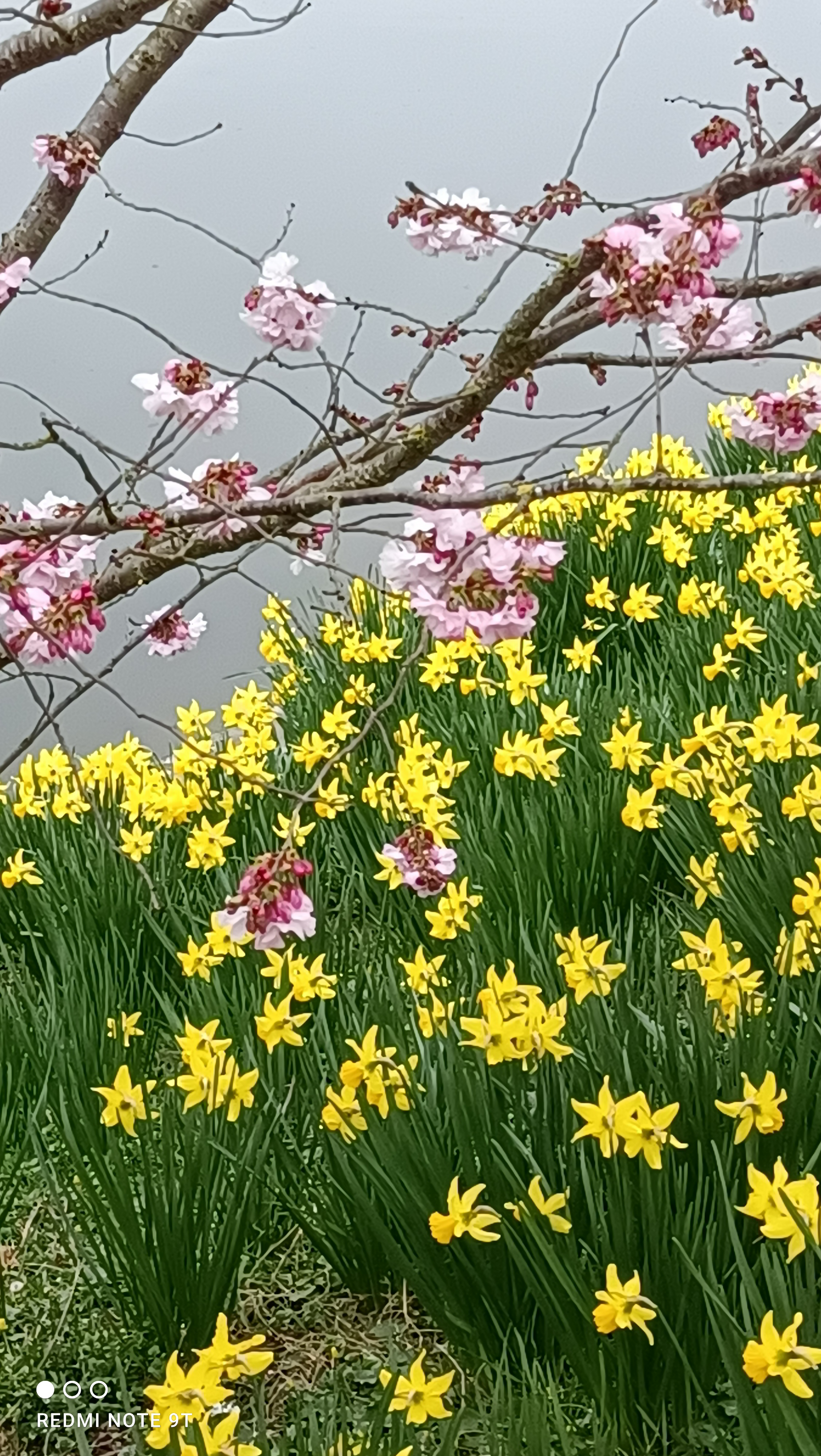 Photo n° 7 de l'avis de BOUBOU.� fait le 17/08/2021 à 05:00