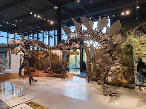 Natural History Museum «Burke Museum of Natural History and Culture», reviews and photos, 1413 NE 45th St, Seattle, WA 98105, USA