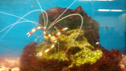 Pet Supply Store «Petco Animal Supplies», reviews and photos, 13127 N Dale Mabry Hwy, Tampa, FL 33618, USA