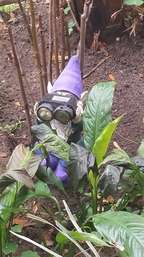 Park «Davis Park», reviews and photos, 612 N Parsons Ave, Brandon, FL 33510, USA