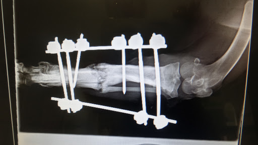 Centro Veterinario Benalup en Benalup-Casas Viejas