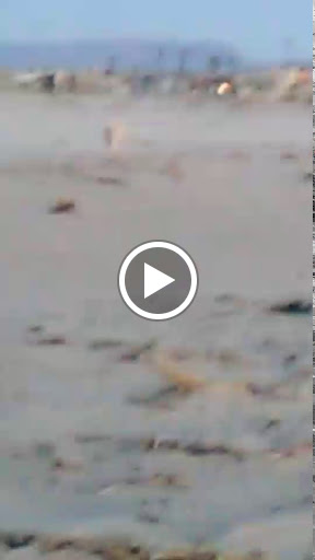 Automotive «Top Dead Center Motorcycles», reviews and photos, 1540 Pine St, Oxnard, CA 93030, USA