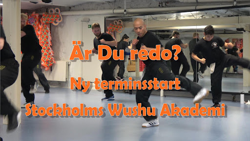 Stockholms Wushu Akademi