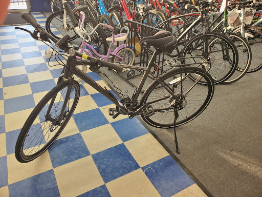Bicycle Store «Champion Cycling Inc», reviews and photos, 11447 San Jose Blvd, Jacksonville, FL 32223, USA