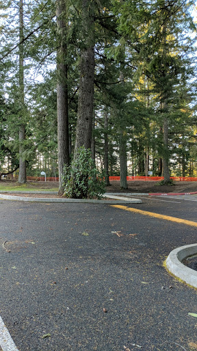 Park «Wildcat Lake County Park», reviews and photos, 9205 NW Holly Rd, Bremerton, WA 98312, USA