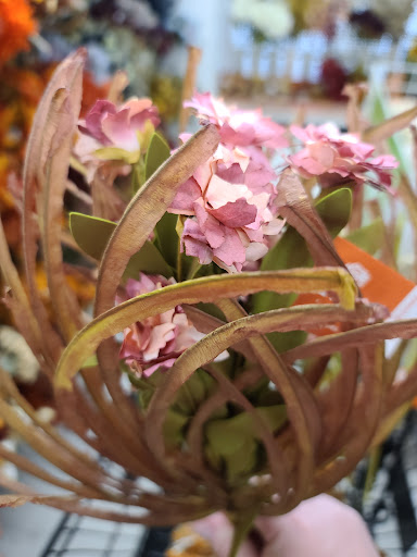 Fabric Store «Jo-Ann Fabrics and Crafts», reviews and photos, 311 Sagamore Pkwy N, Lafayette, IN 47904, USA