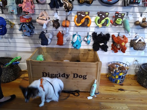 Pet Supply Store «Diggidy Dog», reviews and photos, Ocean Ave & Monte Verde St, Carmel-By-The-Sea, CA 93923, USA