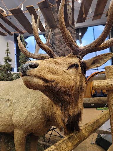 Sporting Goods Store «Bass Pro Shops», reviews and photos, 300 Cincinnati Mills Dr, Cincinnati, OH 45240, USA