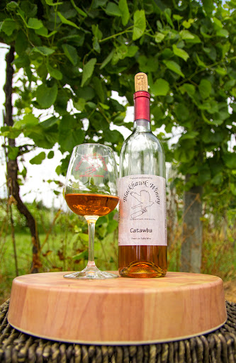 Winery «Blackhawk Winery», reviews and photos, 28153 W Ditch Rd, Sheridan, IN 46069, USA