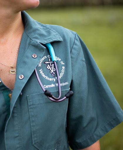 Russell & District Veterinary Clinic image