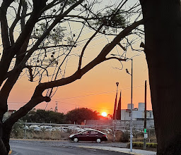 Plaza Terranova photo