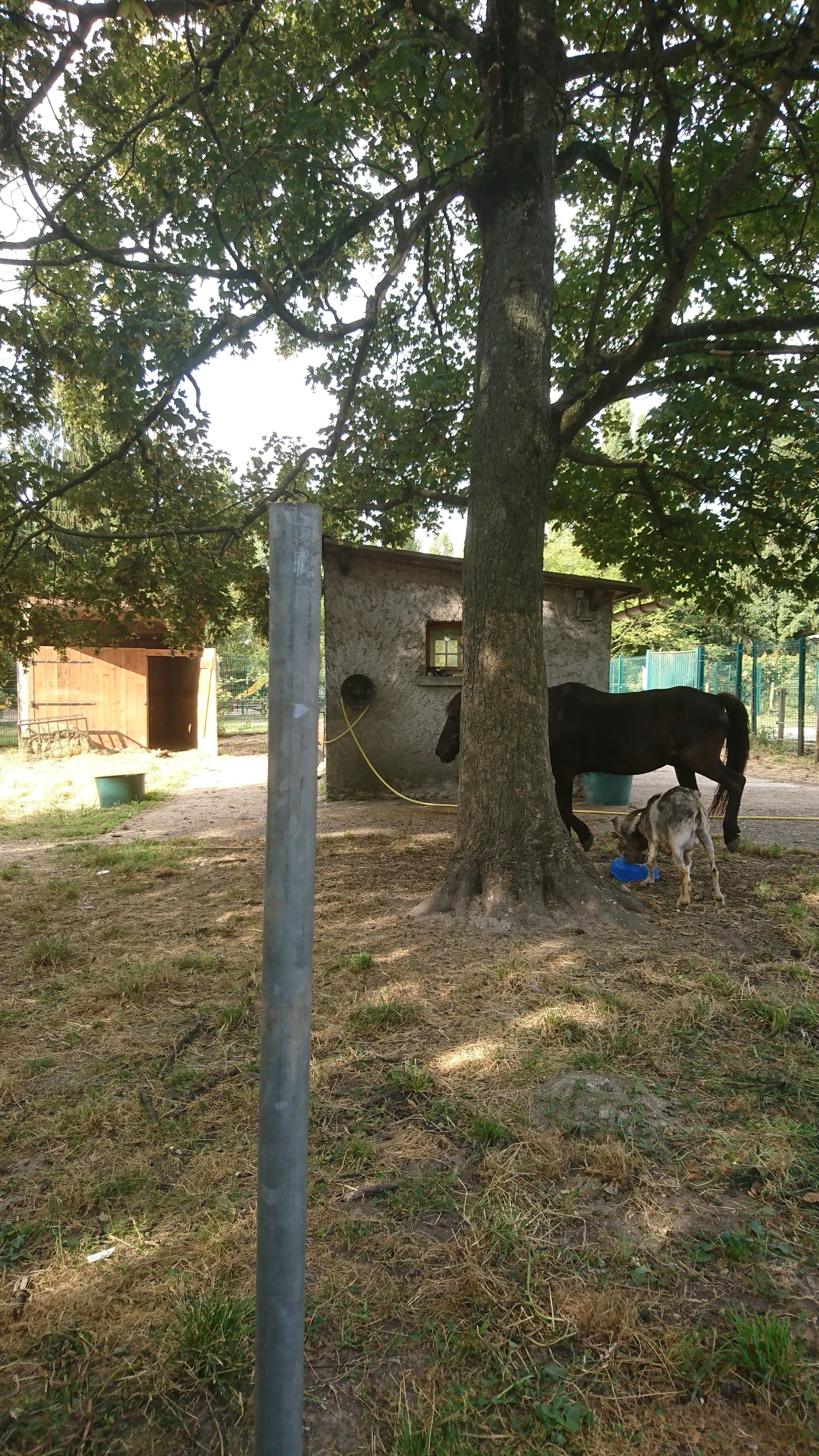 Photo n° 6 de l'avis de Michelle.� fait le 01/08/2018 à 05:53