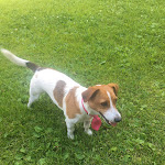 Photo n°13 de l'avis de Riham.l fait le 13/09/2019 à 18:04 sur le  Garni Neidia à Wolkenstein in Gröden