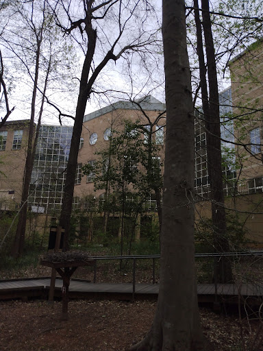 Nature Preserve «Fernbank Forest», reviews and photos, 767 Clifton Rd, Atlanta, GA 30307, USA