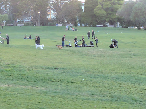 Park «Dolores Park», reviews and photos, Dolores St & 19th St, San Francisco, CA 94114, USA