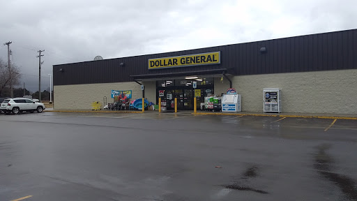 Dollar General, 5765 N Lapeer Rd, North Branch, MI 48461, USA, 