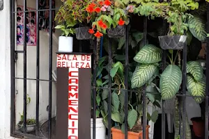 Salón de Belleza Carmencita image