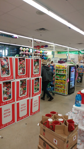 Dollar Store «Dollar Tree», reviews and photos, 646 Stewart Ave, Garden City, NY 11530, USA