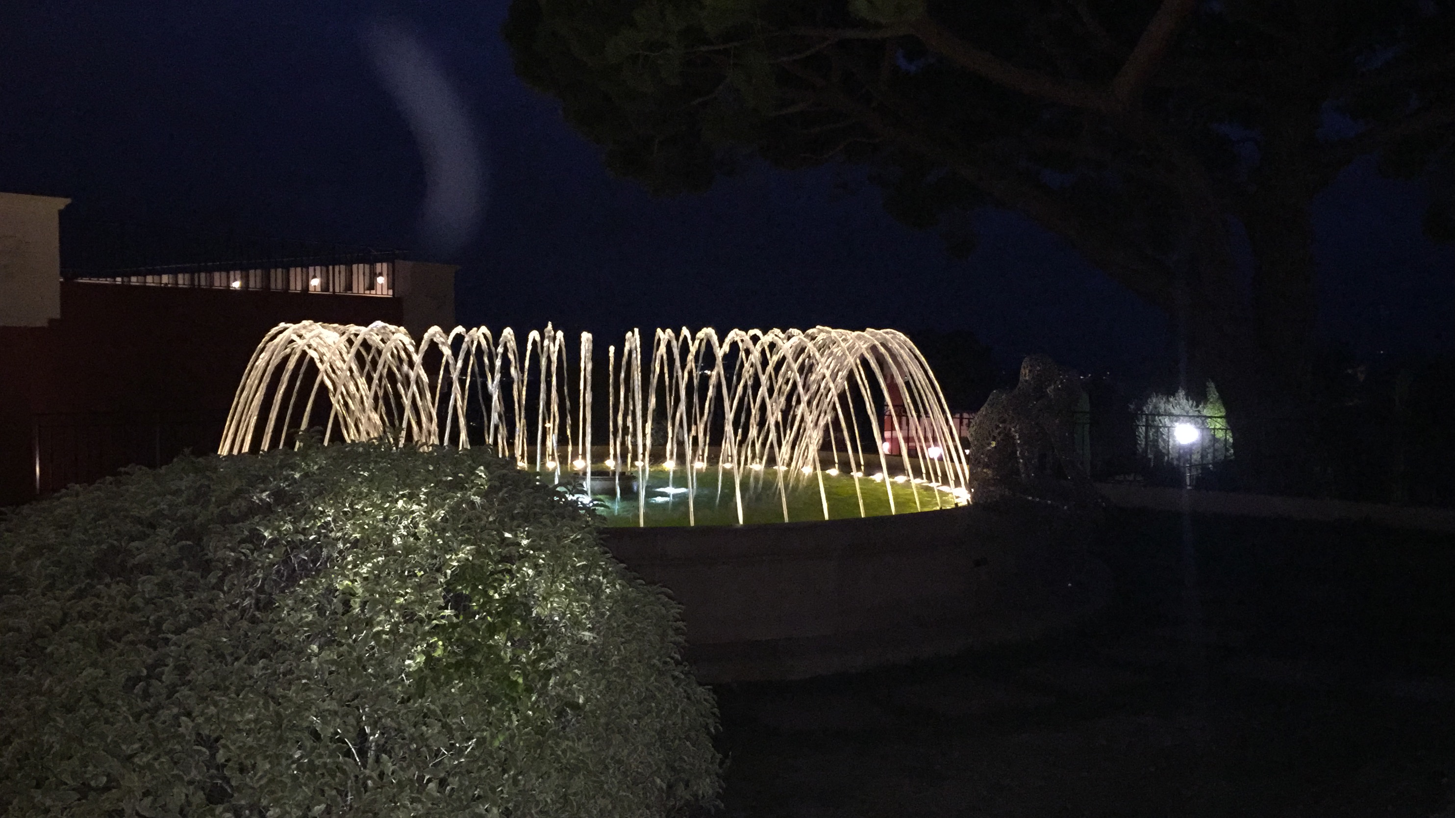 Photo n° 3 de l'avis de lacoste.a fait le 09/10/2021 à 22:28