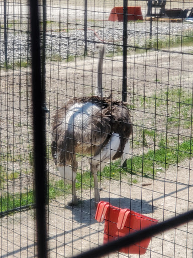 Water Park «Monsoon Lagoon Watering Hole Safari & Waterpark», reviews and photos, 1530 S Danbury Rd, Port Clinton, OH 43452, USA