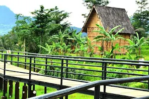 Kampung Budaya Padi Pandan Wangi image