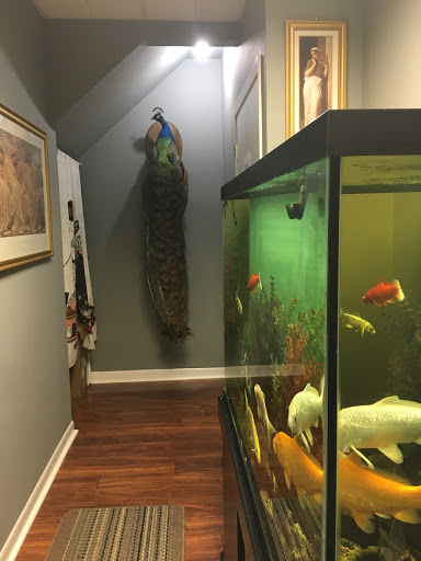 Body Piercing Shop «Black Ink Tattoo & Body Piercing», reviews and photos, 540 E Terra Cotta Ave, Crystal Lake, IL 60012, USA