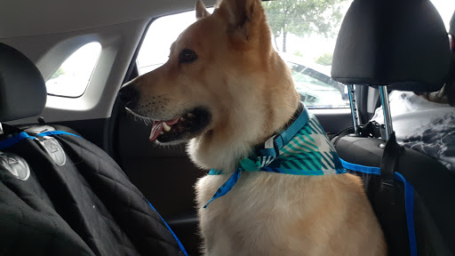 Pet Supply Store «PetSmart», reviews and photos, 1050 McKinley Pl Dr #30, San Marcos, TX 78666, USA