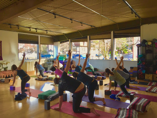 Yoga Studio «Yoga Kula», reviews and photos, 1700 Shattuck Ave, Berkeley, CA 94709, USA