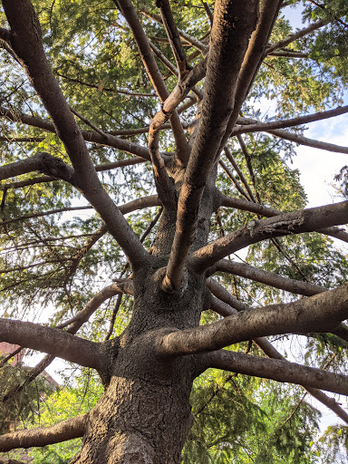 Park «Taylor Park», reviews and photos, 100 Main St, Millburn, NJ 07041, USA