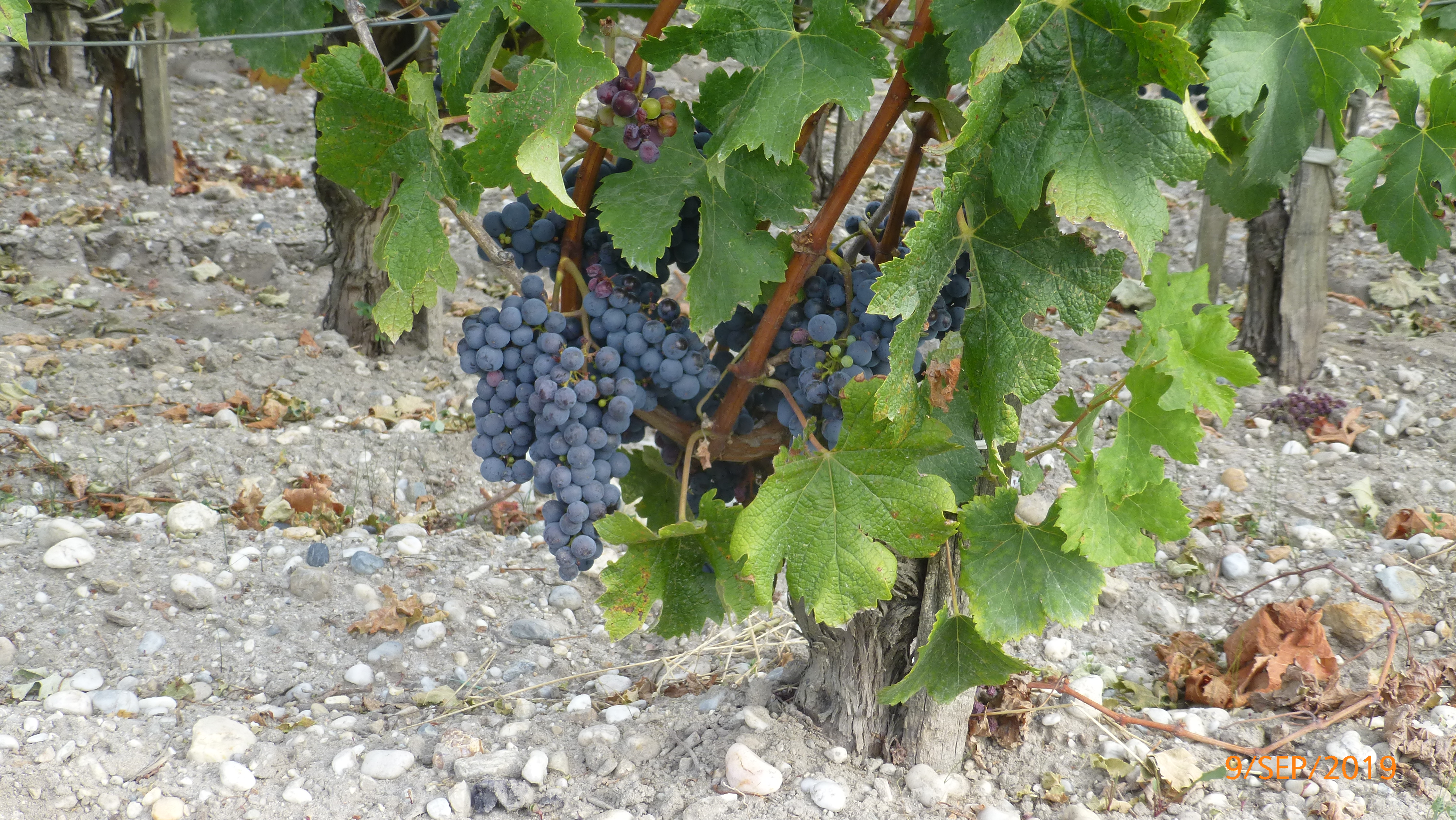 Photo n° 1 de l'avis de M. fait le 23/11/2019 à 09:46