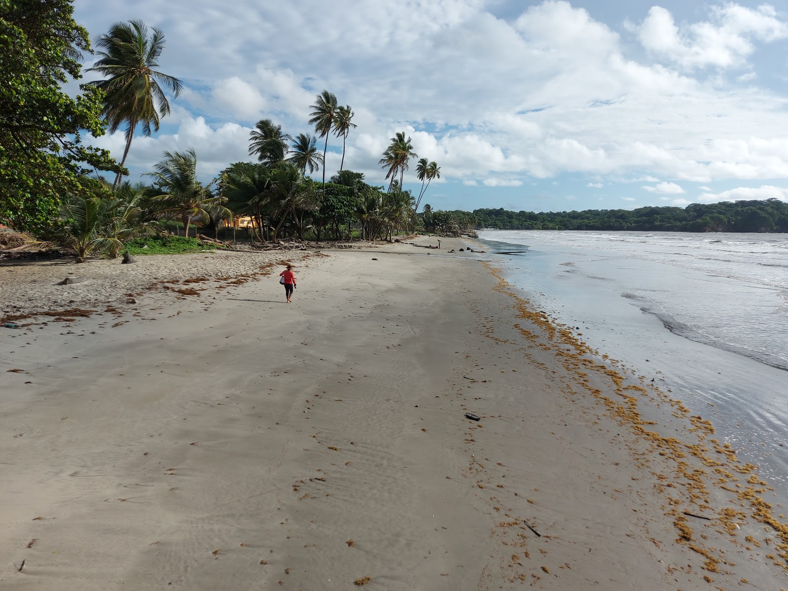 Fotografija Manzanilla beach z turkizna čista voda površino