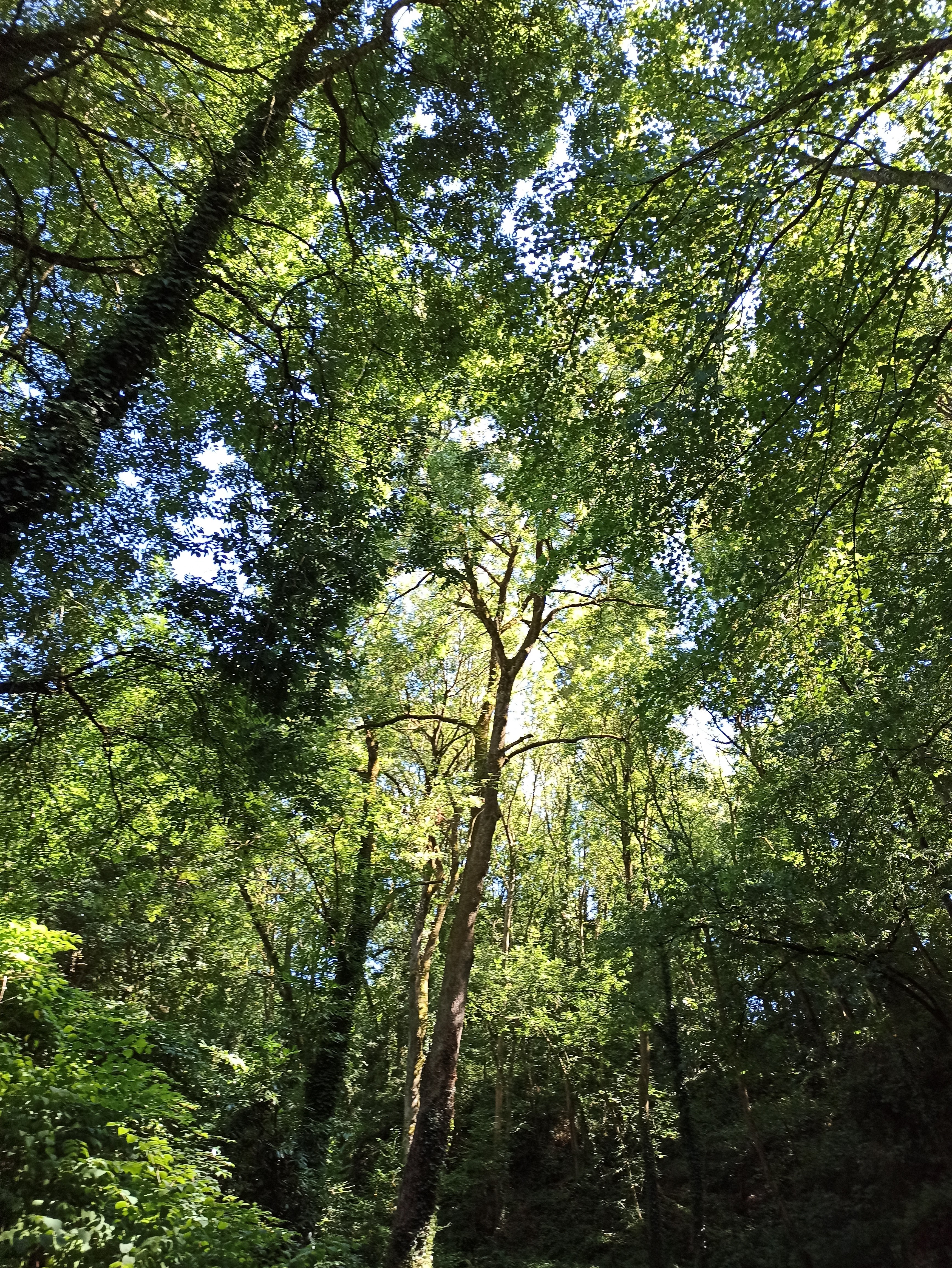 Photo n° 33 de l'avis de Soleil.u fait le 22/07/2020 à 21:32