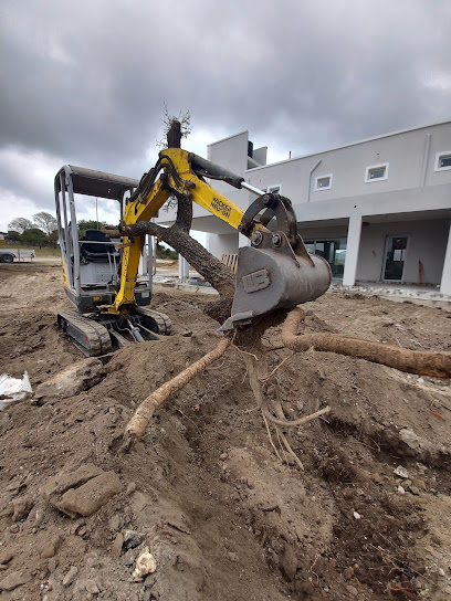 La mini excavadora