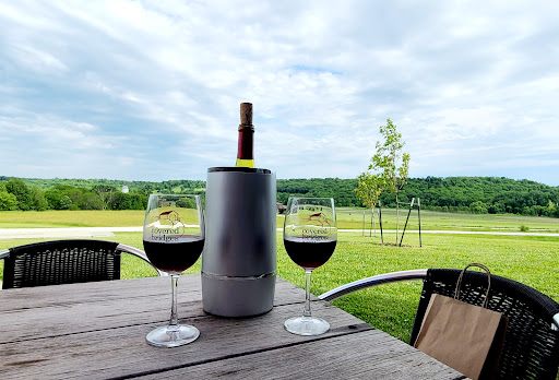 Winery «Covered Bridges Winery», reviews and photos, 2207 170th Dr, Winterset, IA 50273, USA