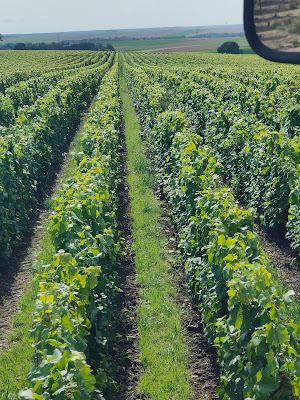 Dupont Jean-Claude à Trépail