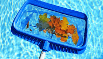 True Blue Pool Service - Photo 6 - Car repair in , The Woodlands