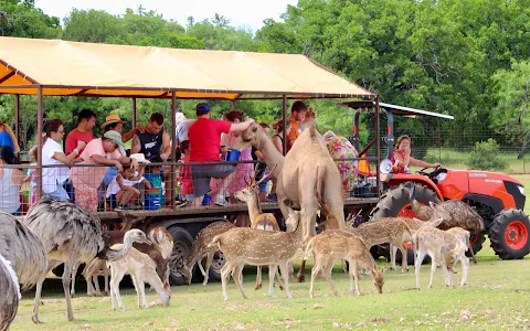 The Exotic Resort Zoo image
