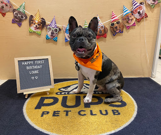 PUPS Pet Club
