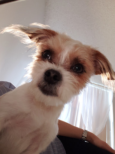 Pet Supply Store «Pet Supplies Plus», reviews and photos, 4923 Sheridan St, Hollywood, FL 33021, USA