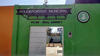 Polideportivo Municipal 'Wilde'