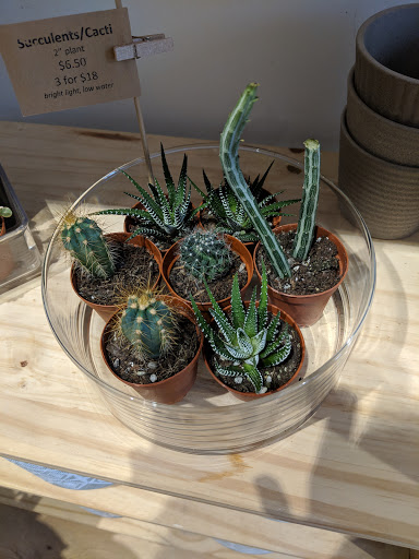 Gift Shop «Moss - Iowa City», reviews and photos, 112 E Washington St, Iowa City, IA 52240, USA